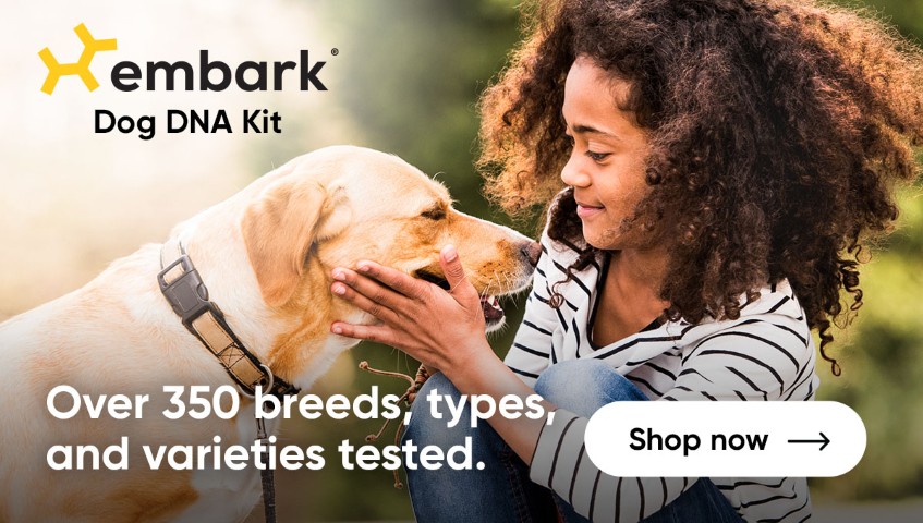 Embark affiliate