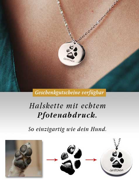 Hundefutter Aus China Was Du Uber Kauknochen Fur Hunde Unbedingt Wissen Solltest Goldenmerlo 