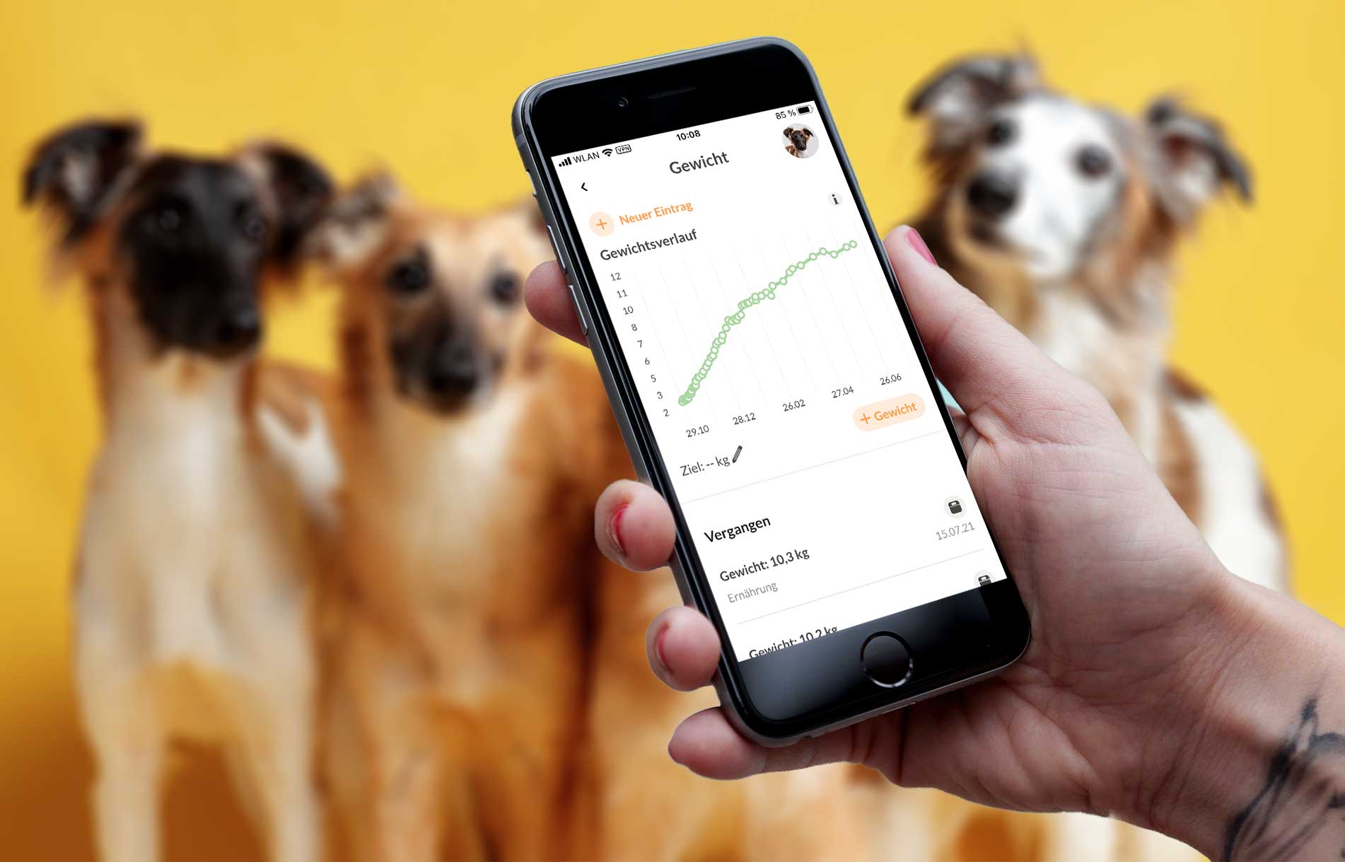 Read more about the article Die 5 besten (kostenlosen) Apps für Hundebesitzer [Werbung]